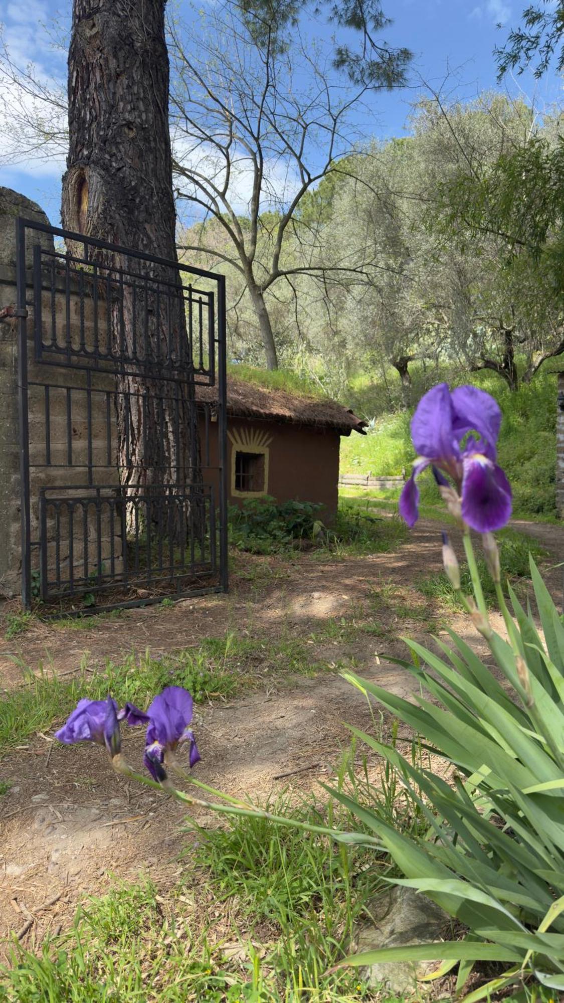 La Casa Del Grillo Villa Viterbo Exterior photo